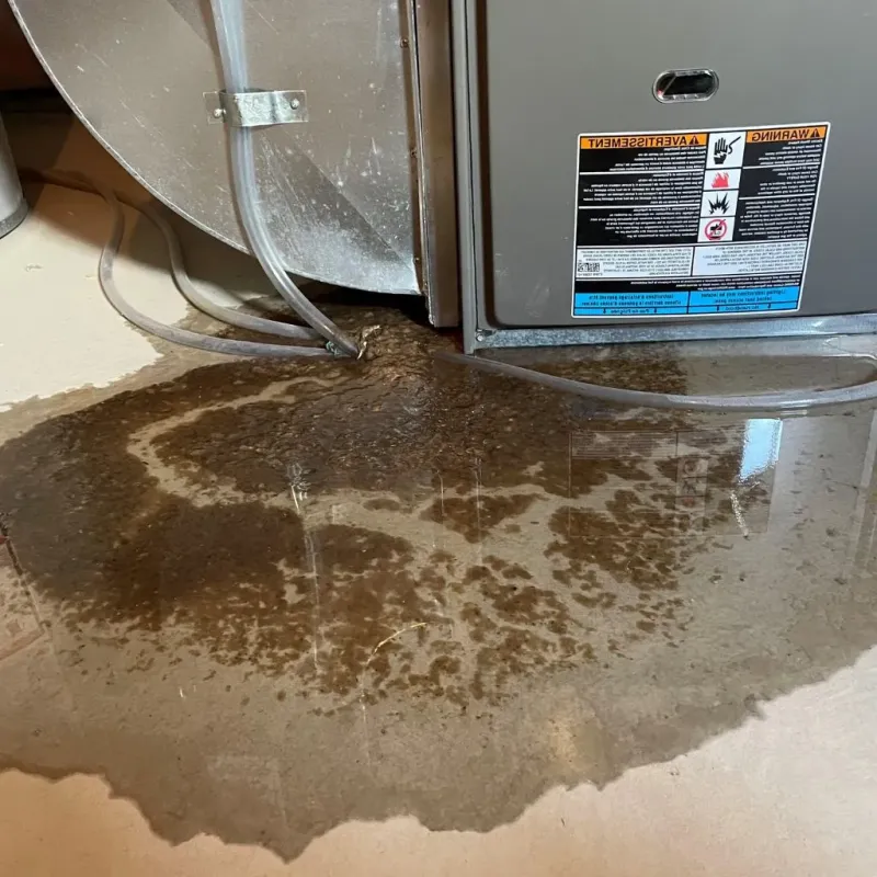 Pipe Burst and Leak Restoration in Lake Andes, SD