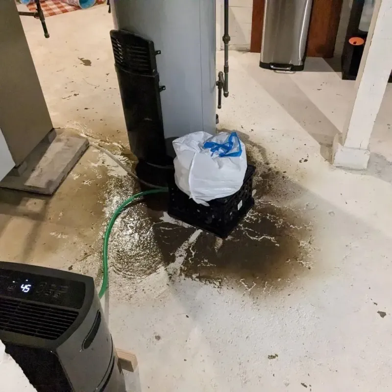 Sewage Backup Cleanup Service in Lake Andes, SD